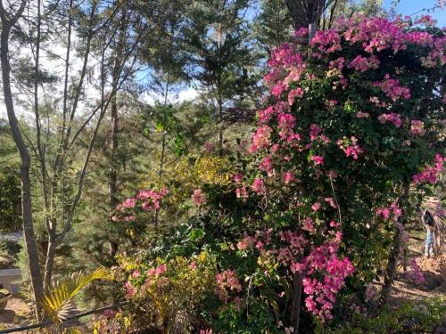 Un jardín fuera de Hotel Campestre mirador CaloPala