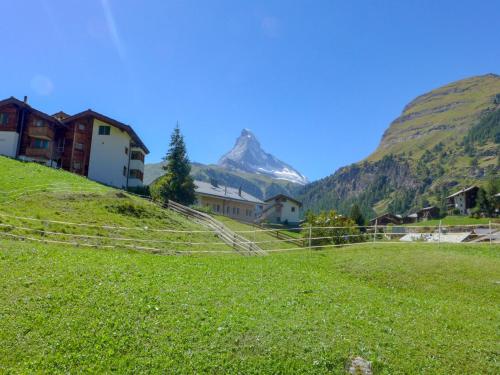 a view of a mountain from a grassy hill at Apartment Richemont by Interhome in Zermatt