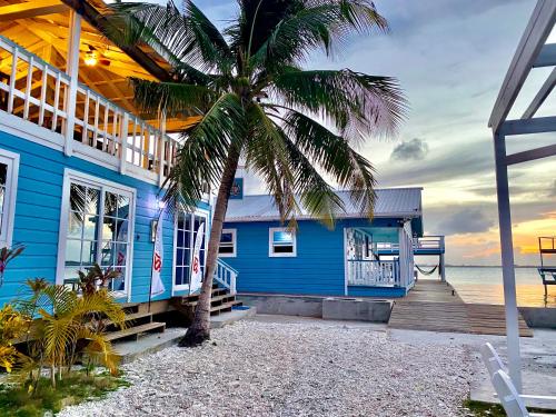 a blue house on the beach with a palm tree at The Odyssey Resort Utila in Utila