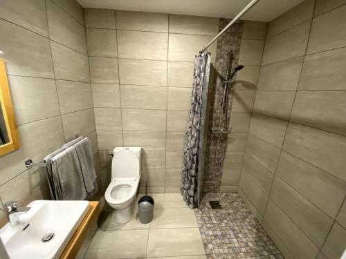 Un baño con inodoro, lavabo y ducha. en Villa Raphaëlle #5 Centre ville avec parking, en Le Havre