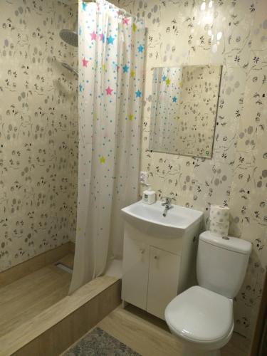a bathroom with a toilet and a sink and a mirror at 2 osobowe kawalerki w domkach FreezerHause Kozery- NoclegiGrodziskPL 792-535-535 in Grodzisk Mazowiecki