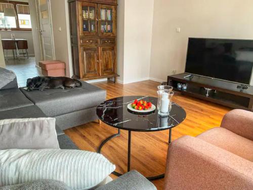 a dog laying on a couch in a living room at Apartment Family by Interhome in Świnoujście