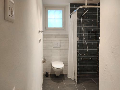 a bathroom with a toilet and a shower with a window at Apartment Haus Altein Apartment Nr- 4 by Interhome in Davos
