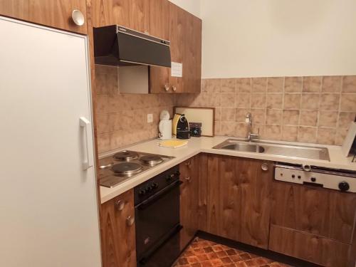 Virtuvė arba virtuvėlė apgyvendinimo įstaigoje Apartment Allod-Park-4 by Interhome