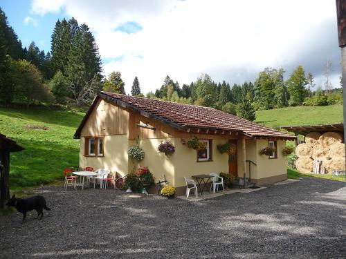 una pequeña casa con un perro negro parado frente a ella en Holiday Home Möslehof by Interhome, en Vorderfalkau