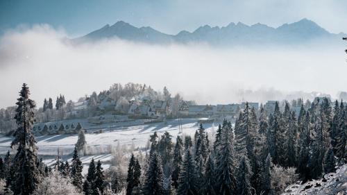 a view of a resort in the snow with trees at Willa Pachówka - tam, gdzie natura spotyka się z nowoczesnością in Bukowina Tatrzańska