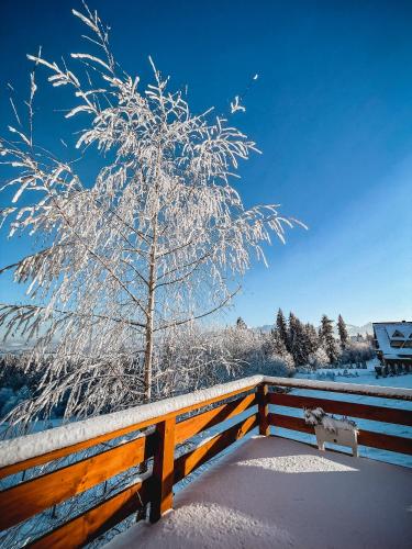 a snow covered tree on a fence with a bench at Willa Pachówka - tam, gdzie natura spotyka się z nowoczesnością in Bukowina Tatrzańska