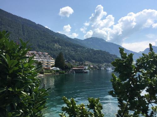 a view of a river with mountains in the background at Apartment Apartment 10 by Interhome in Weggis