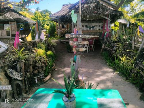 En have udenfor Shirley's Cottage - Pamilacan Island