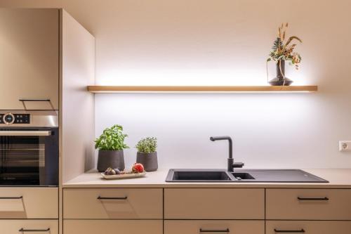 a kitchen with a sink and two potted plants at Apartments Bären in Elzach
