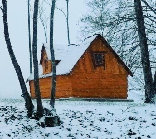 a log cabin with snow on it in the woods at La Gare de Lurey Conflans gîte et hébergements insolites en Champagne in Esclavolles-Lurey