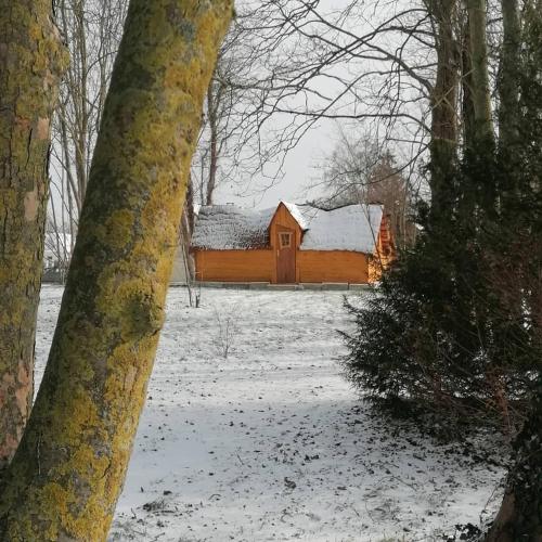 a wooden cabin with snow on it in the woods at La Gare de Lurey Conflans gîte et hébergements insolites en Champagne in Esclavolles-Lurey