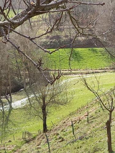 a green field with a fence and a tree at Alojamento Local Madre de Cima in Vinhais