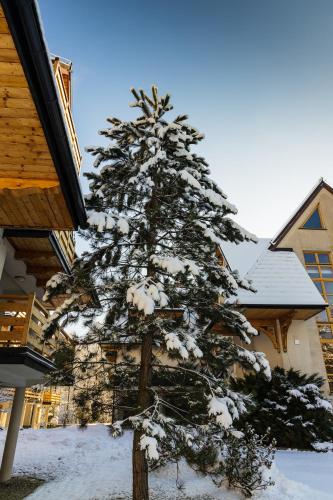 a snow covered christmas tree in front of a house at Aparthotel Bellamonte in Zakopane