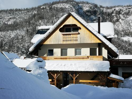 TriSa apartments Bohinj v zimě