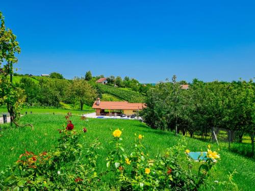 ein grünes Feld mit einem Haus im Hintergrund in der Unterkunft Holiday Home Madera by Interhome in Banjaselo
