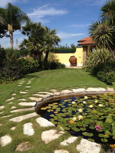 a pond with lilies in a yard with a house at La Locanda del Cavaliere in Borgo Montello
