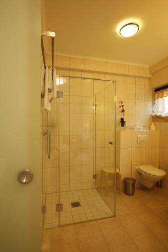 a bathroom with a glass shower with a toilet at Flörsbacher Hof in Flörsbachtal