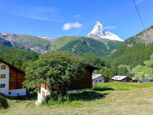 Une montagne au loin avec une maison et un arbre dans l'établissement Apartment Casa Pia-1 by Interhome, à Zermatt