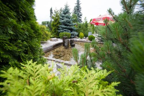 a garden with a pond in the middle at Hotel Europejski in Nysa