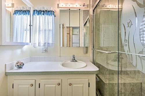The MeadowsにあるBright Home Pool Access and Screened-In Porch!の洗面台とシャワー付きのバスルーム