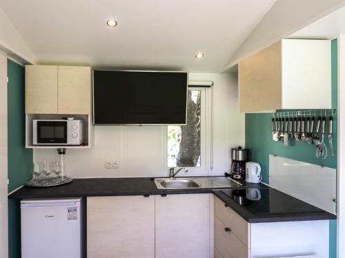 a kitchen with a sink and a microwave at Holiday Home Draucamping by Interhome in Sachsenburg