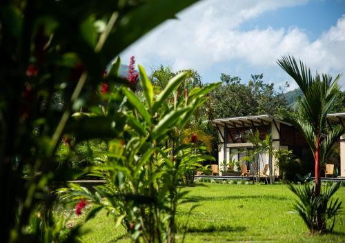 a house with a green yard with plants at Gardenia Springs - La Finca Buritaca in Buritaca