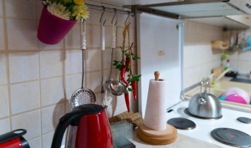 um balcão de cozinha com um lavatório e um fogão com plantas em Fyllenia Country Home, Aridaia, Pozar Baths em Chrýsa