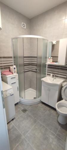 W łazience znajduje się prysznic, toaleta i umywalka. w obiekcie Stan na dan Bijeljina Niki w mieście Bijeljina