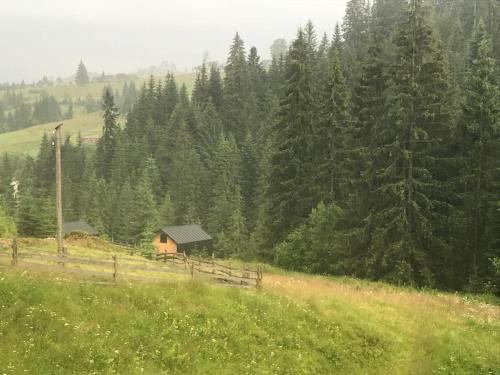 a barn in the middle of a field with trees at Шале DEREVA in Yablunytsya