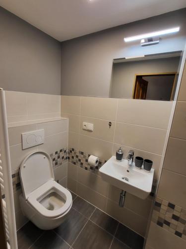a bathroom with a toilet and a sink at HORSKÝ PENZION U SPLAVU in Josefuv dul