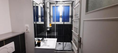 een badkamer met een wastafel en een spiegel bij Appartement Entre terre et mer in Duinkerke
