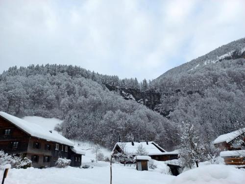 a snow covered house with a mountain in the background at Bergluft Apartment MELLAU in Mellau