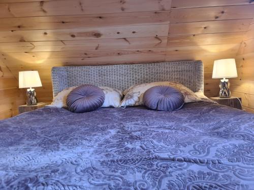 a bedroom with a bed with two pillows on it at Casa Del Campo 1 in Gaśno