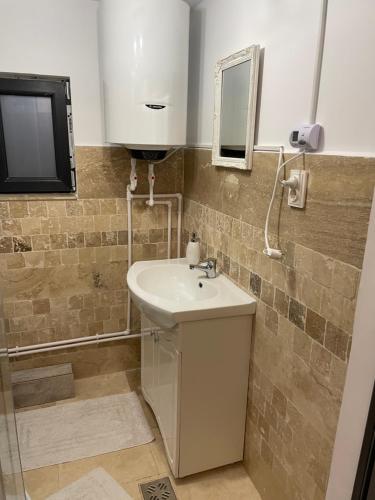 La salle de bains est pourvue d'un lavabo, d'un miroir et d'une télévision. dans l'établissement Casa Alex, à Câmpulung Moldovenesc