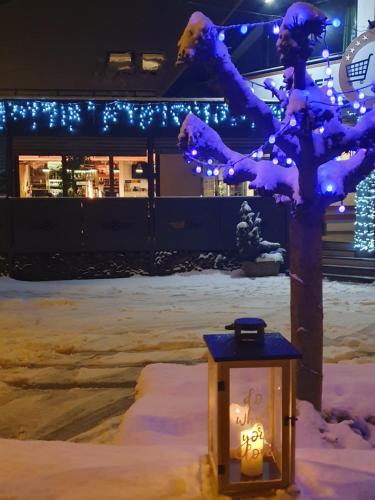 Gallery image of Apartments Avio in Zgornji Brnjik