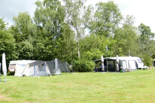 a group of tents in a field with trees at Camping Alkenhaer Appelscha Lege Kampeerplaats in Appelscha