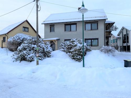 a house in the snow with a street light at Apartment in Waltershausen in Waltershausen