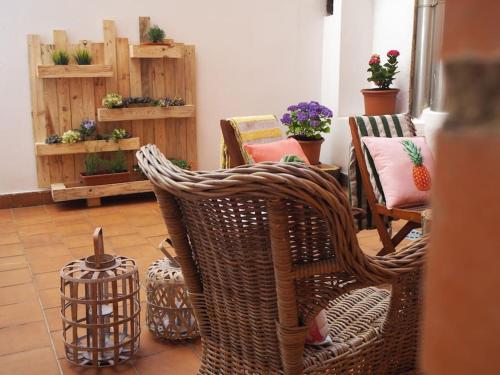 een woonkamer met rieten stoelen en potplanten bij Blanco Y Negro in Zamora