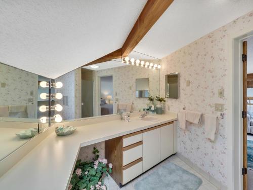 a bathroom with a sink and a mirror at 341 Edgewater Inn in Charlevoix