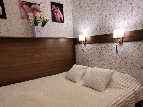 een slaapkamer met een bed met 2 kussens erop bij Odessa Old Center Ekaterininskaya 39 in Odessa