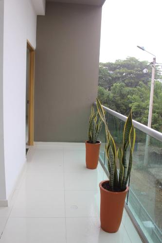 two plants in pots sitting on a balcony at Mar y Tierra in Coveñas