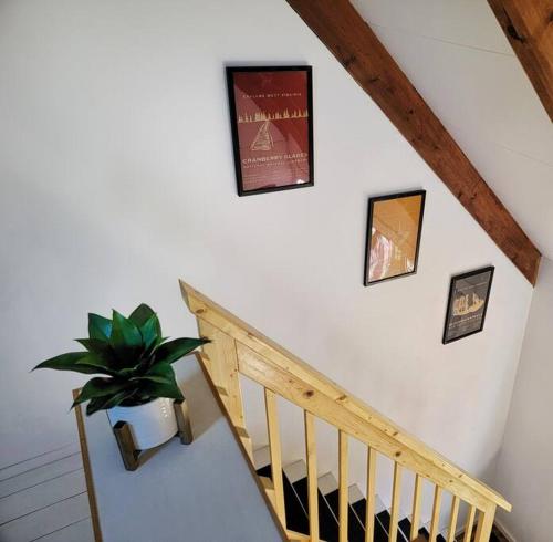 a staircase with a potted plant and pictures on the wall at The Davis Loft in Davis