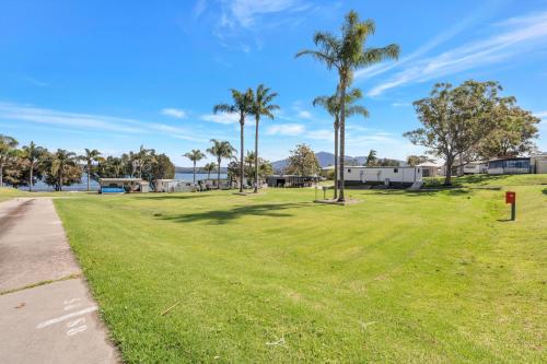 
a grassy area with a tree and palm trees at Ingenia Holidays Ocean Lake in Bermagui
