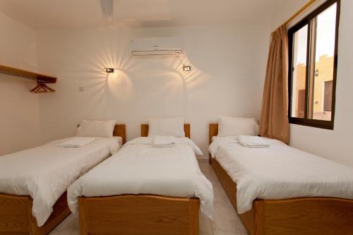 three beds in a room with white sheets at Arab Divers Dive Center and Bed & Breakfast in Aqaba