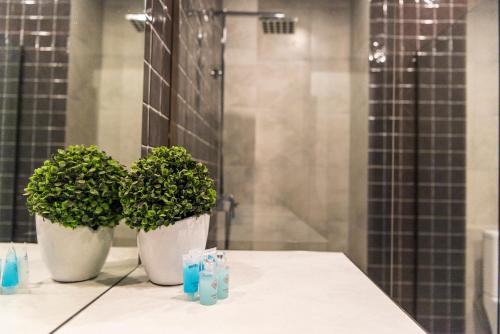 two potted plants sitting on a counter in a bathroom at Sani Apart Hotel in Tbilisi City