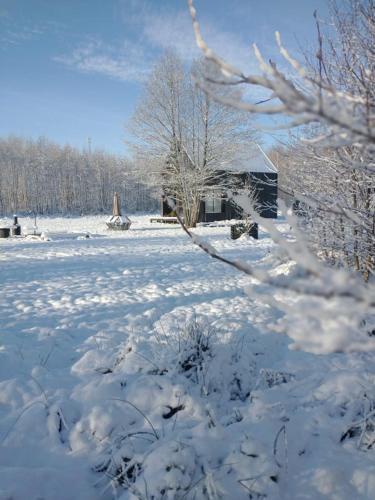 a snow covered field with a house in the background at Między Olchami domek nad jeziorem. Noclegi całoroczne. Cisza, spokój. in Barczewo