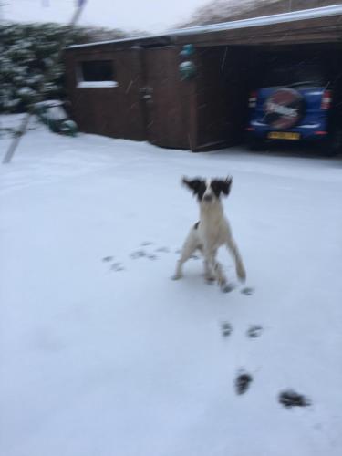 Old Gloucester Road farm bed and breakfast photo 17