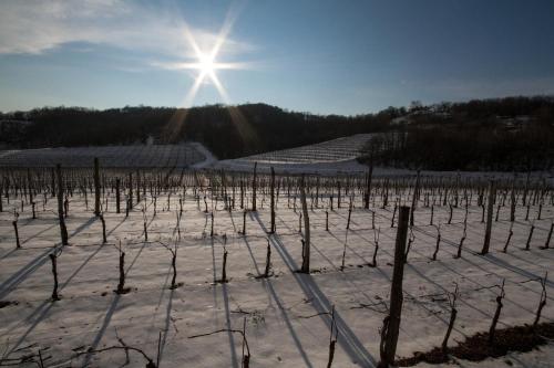 Il Roncal Wine Resort - for Wine Lovers durante el invierno