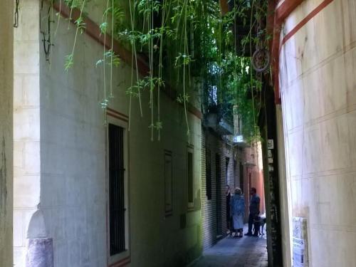 Calle verde 9, Sevilla – Bijgewerkte prijzen 2022